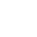 Car Transport